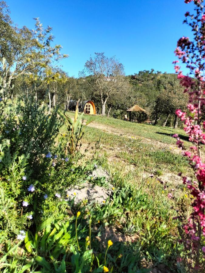 ألخيزور A Baleia, Bungalow De Charme المظهر الخارجي الصورة