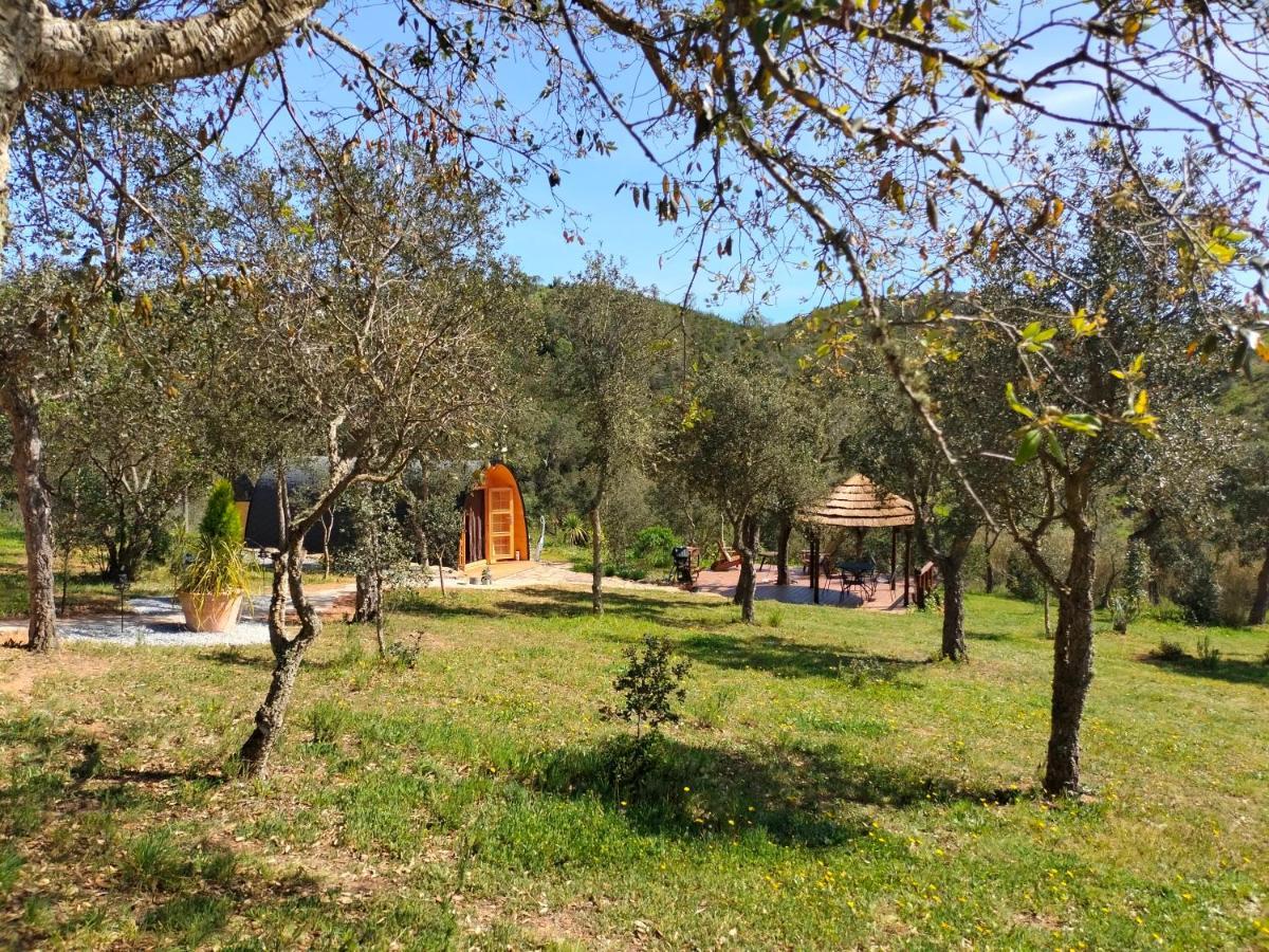 ألخيزور A Baleia, Bungalow De Charme المظهر الخارجي الصورة